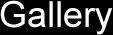 Gallery Text